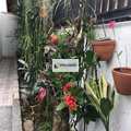 Casa em Praia Grande, bairro Jardim Imperador