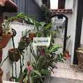 Casa em Praia Grande, bairro Jardim Imperador