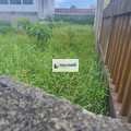 Terreno em Mongaguá, bairro Vila Anhanguera