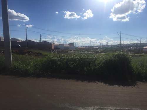 Terreno, código 47719 em Jaú, bairro Jardim Doutor Roberto Pacheco