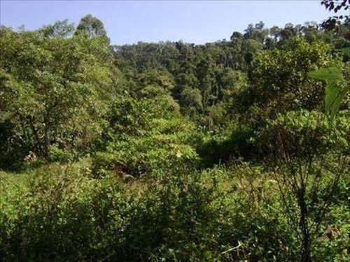 Terreno Comercial, código 4326 em Itanhaém, bairro Rio Preto