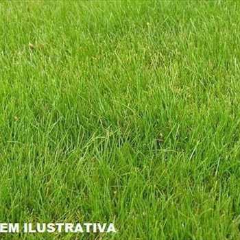 Área Industrial em Itanhaém, bairro Balneário Gaivotas