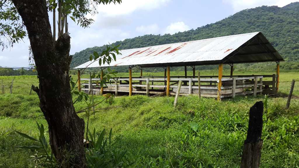 Fazenda em Itanhaém, no bairro Jardim Mambu
