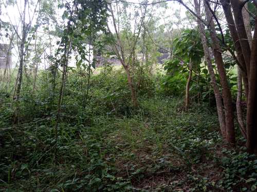 Terreno, código 5354 em Itanhaém, bairro Parque Novaro