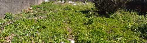 Terreno, código 5530 em Itanhaém, bairro Raul Cury