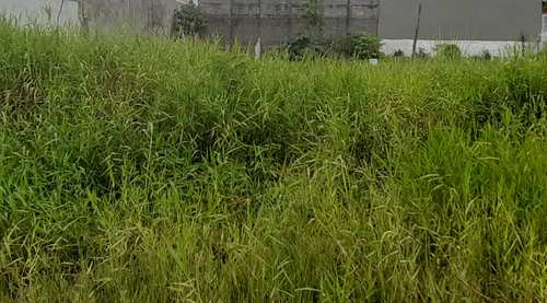 Terreno, código 5606 em Itanhaém, bairro Jardim Grandesp