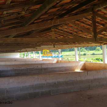 Sítio em Itu, bairro Pedregulho
