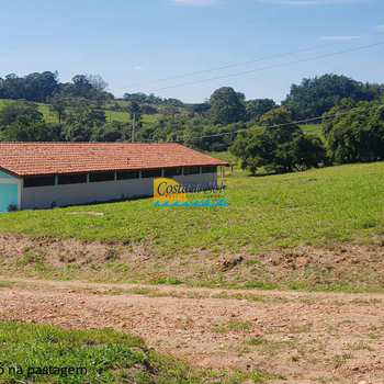 Sítio em Itu, bairro Pedregulho
