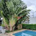 Apartamento em São Paulo, bairro Itaquera