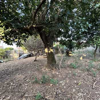 Terreno em Monte Mor, bairro Jardim Panorama