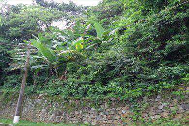 Terreno, código 1167 em Ilhabela, bairro Feiticeira