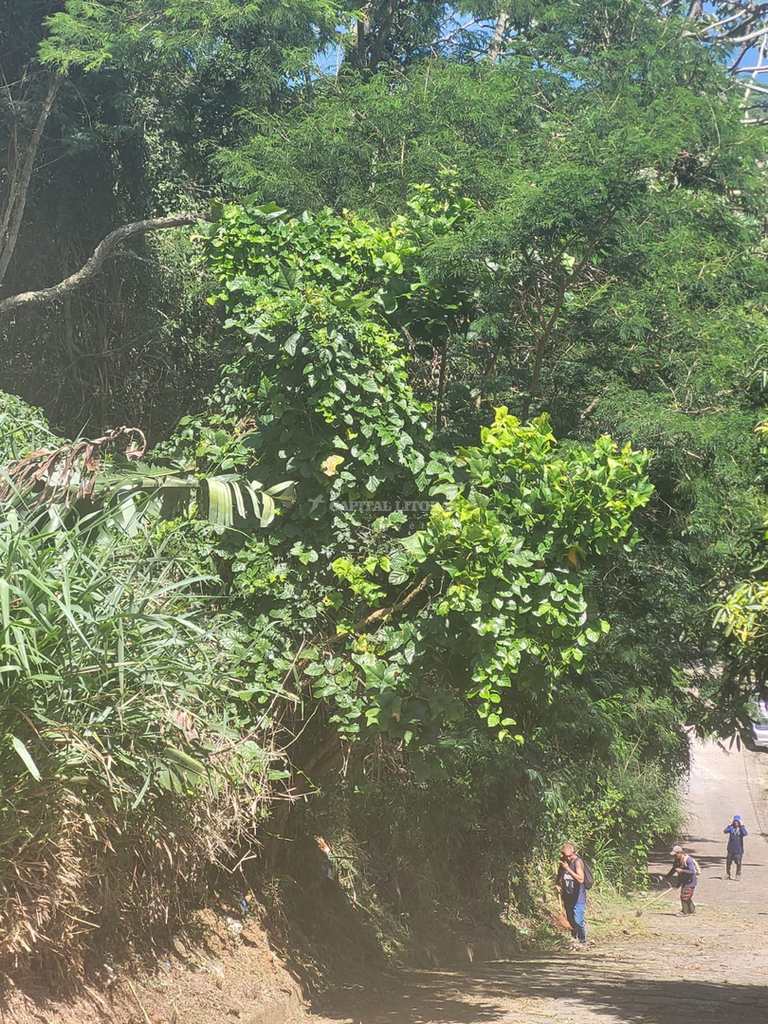 Terreno em Ilhabela, no bairro Bexiga