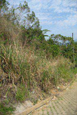 Terreno em Ilhabela, no bairro Bexiga