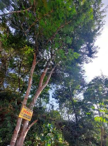 Terreno, código 787 em Ilhabela, bairro Bexiga