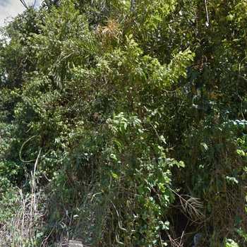 Terreno em Ilhabela, bairro Furnas