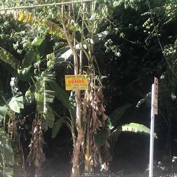 Terreno em Ilhabela, bairro Praia Grande