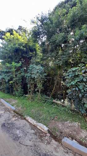 Terreno, código 2646 em Ilhabela, bairro Feiticeira