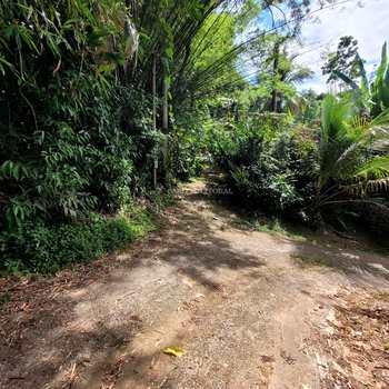 Terreno em Ilhabela, bairro Cocaia