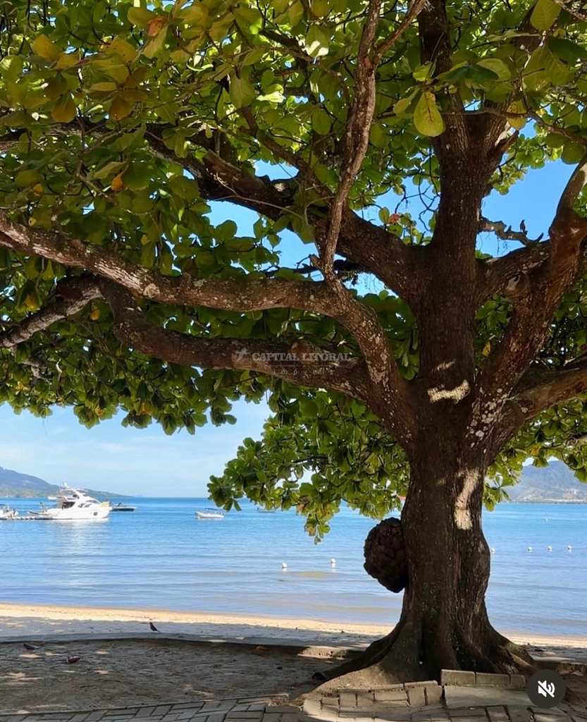 Casa em Ilhabela, no bairro Itaquanduba