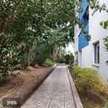 Apartamento em São Paulo, bairro Jardim Santa Terezinha (Zona Leste)