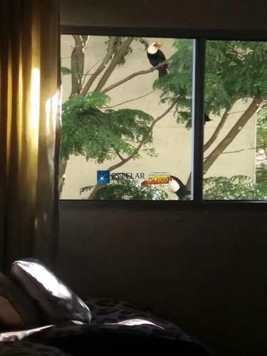 Apartamento, código 381155 em Mogi das Cruzes, bairro Vila Caputera