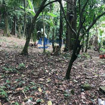 Terreno em São Sebastião, bairro Boiçucanga