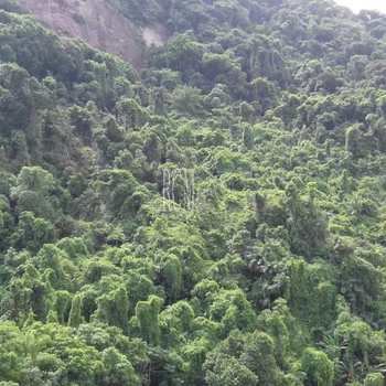 Kitnet em São Vicente, bairro Itararé