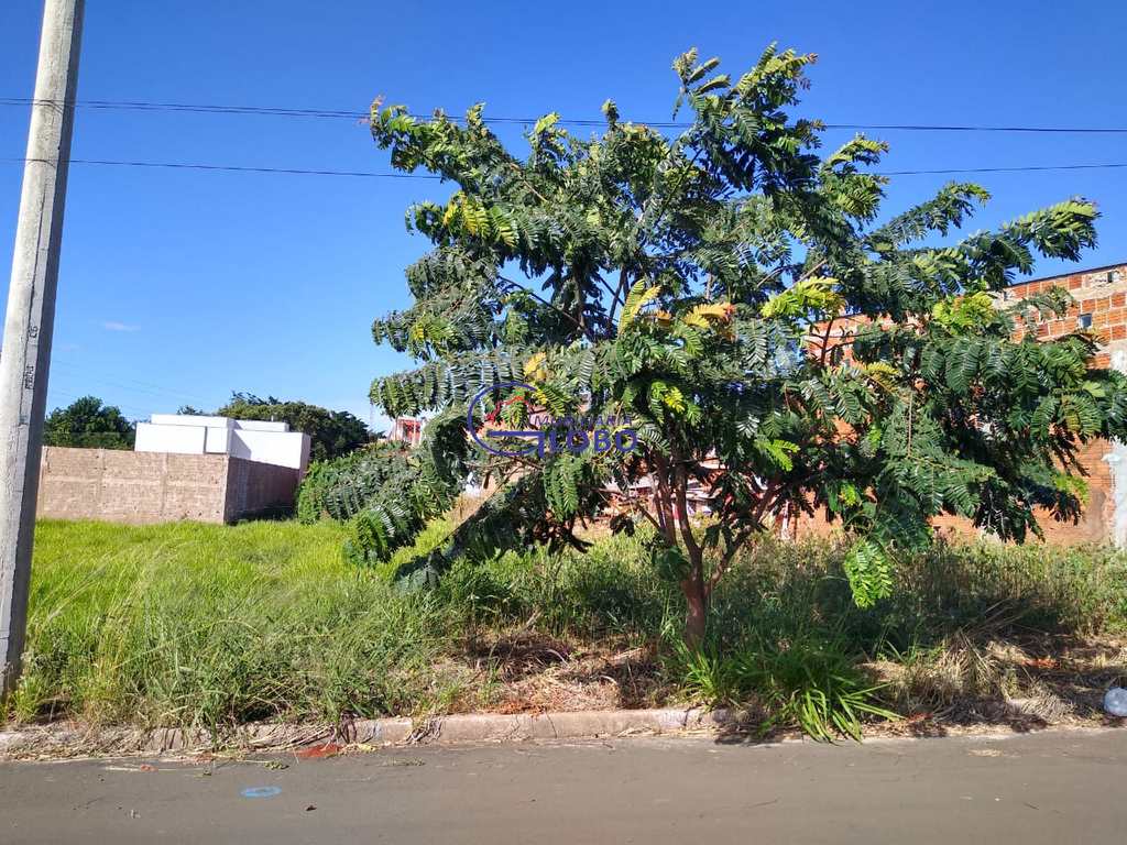 Terreno em Jales, no bairro Residencial Monte Líbano