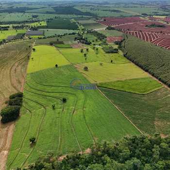 Área Comercial em Jales, bairro Área Rural de Jales