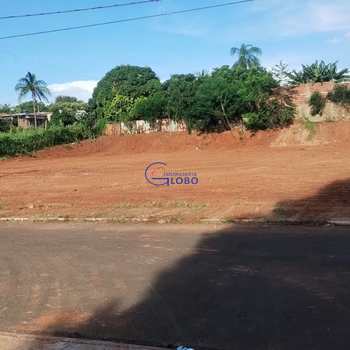 Terreno em Jales, bairro Vila Nossa Senhora Aparecida