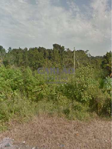 Terreno, código 329101 em Mongaguá, bairro Balneário Itaguai