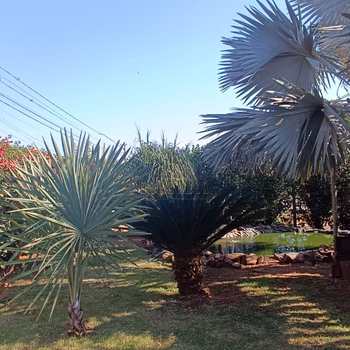 Terreno Industrial em Jaboticabal, bairro Jardim Monterrey II