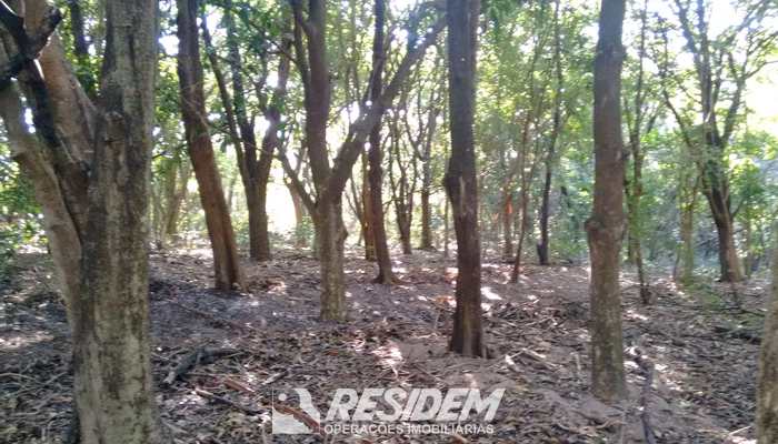 Terreno, código 99523588 em Jacuba, bairro Centro