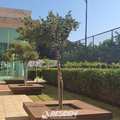 Apartamento em Bauru, bairro Vila Aviação