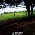 Terreno Rural em Avaí, bairro Distrito Nogueira