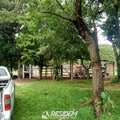 Terreno Rural em Avaí, bairro Distrito Nogueira
