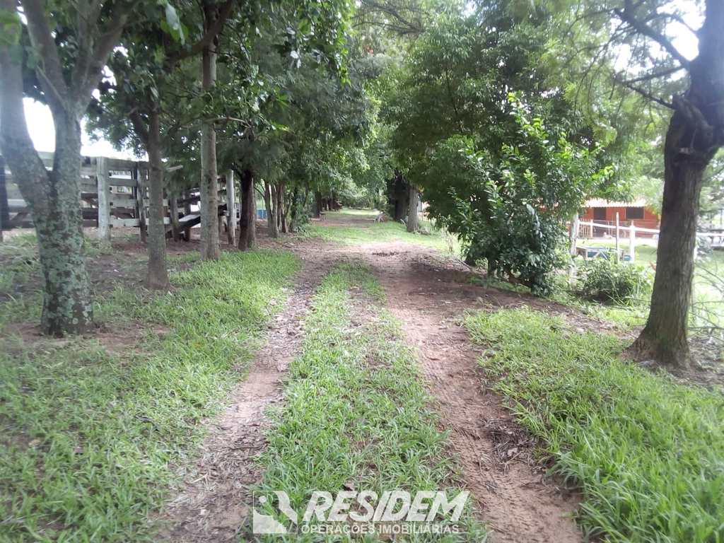 Terreno Rural em Avaí, no bairro Distrito Nogueira