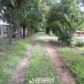 Terreno Rural em Avaí, bairro Distrito Nogueira