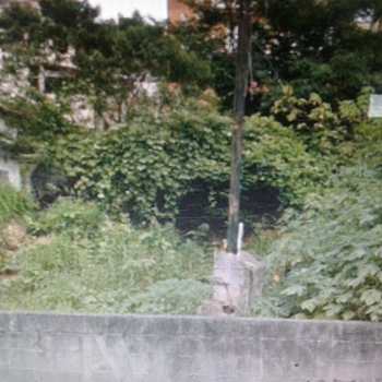 Terreno em São Paulo, bairro Vila Morse