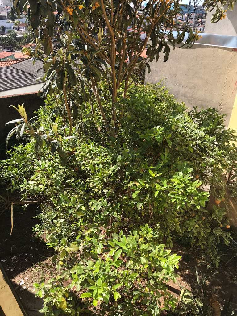 Sobrado em Mogi das Cruzes, no bairro Mogi Moderno