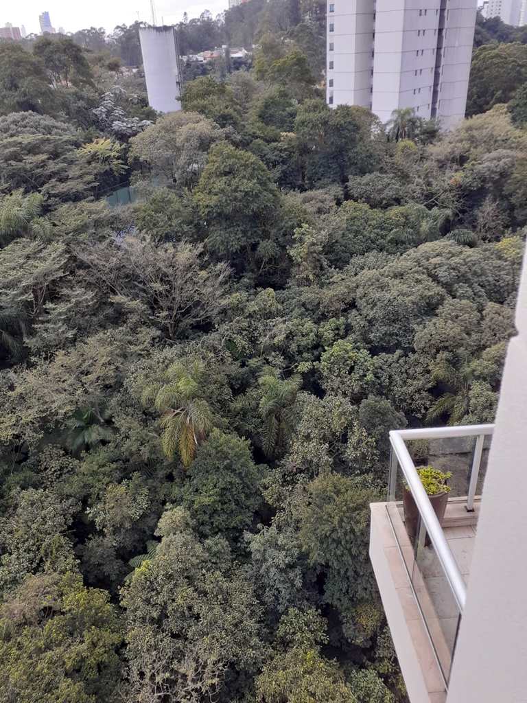Apartamento em São Paulo, no bairro Parque do Morumbi