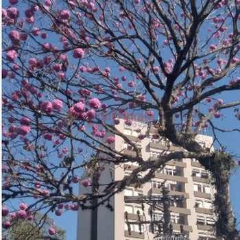 Apartamento em São José dos Campos, bairro Jardim Bela Vista