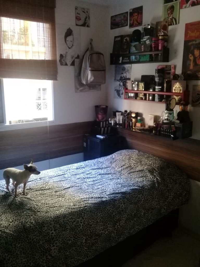 Apartamento em São Paulo, no bairro Vila Emir