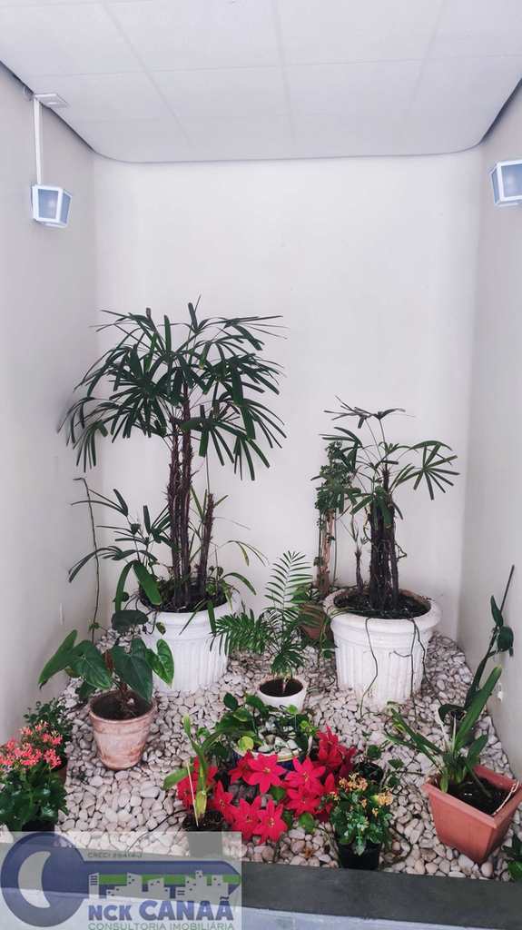 Apartamento em São Paulo, no bairro Vila Mascote