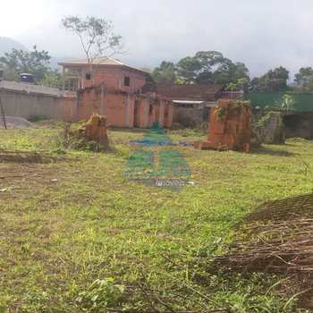 Terreno em Ubatuba, bairro Praia da Lagoinha