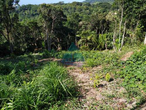 Terreno, código 1110 em Ubatuba, bairro Praia do Pulso