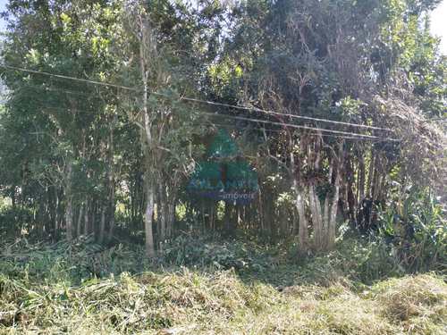 Terreno, código 1131 em Ubatuba, bairro Praia da Lagoinha