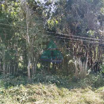 Terreno em Ubatuba, bairro Praia da Lagoinha