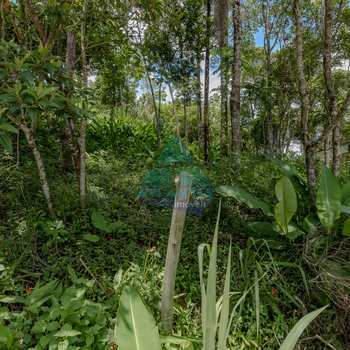 Terreno em Caraguatatuba, bairro Massaguaçu