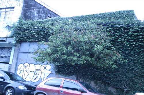 Galpão, código 2980 em São Paulo, bairro Mooca